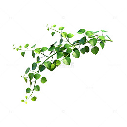 绿色植物枝叶矢量图