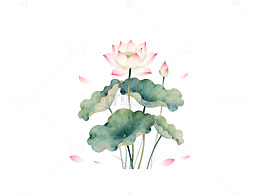 水墨荷花淡雅意境插画