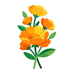 插画风格橙黄花束设计素材