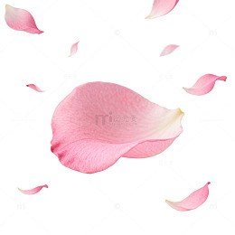 粉色玫瑰花瓣飞舞背景图
