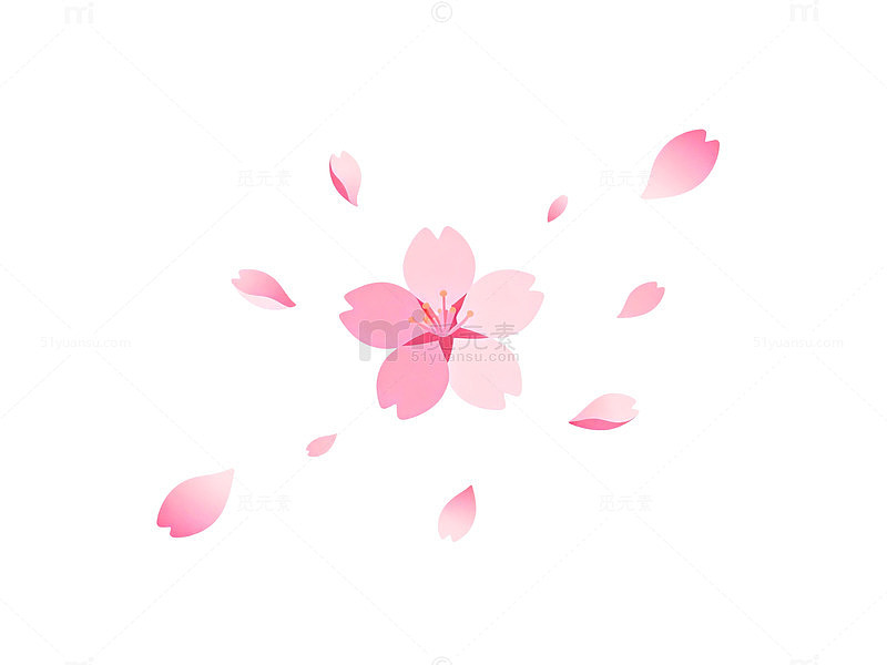 樱花飘落春天插画素材