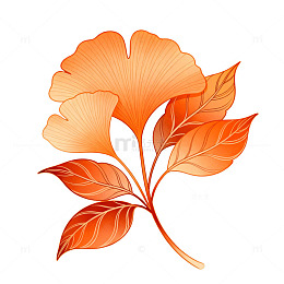 简约风格橙色花卉矢量图案