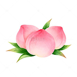 桃子插画素材