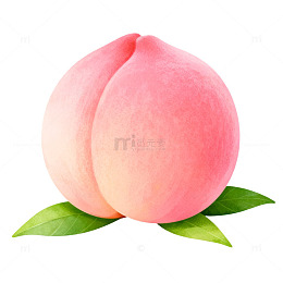 水蜜桃插画设计素材