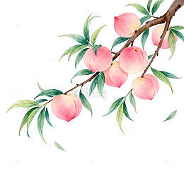 水彩画桃枝水果插画设计素材