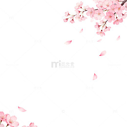 樱花飘落清新插画背景