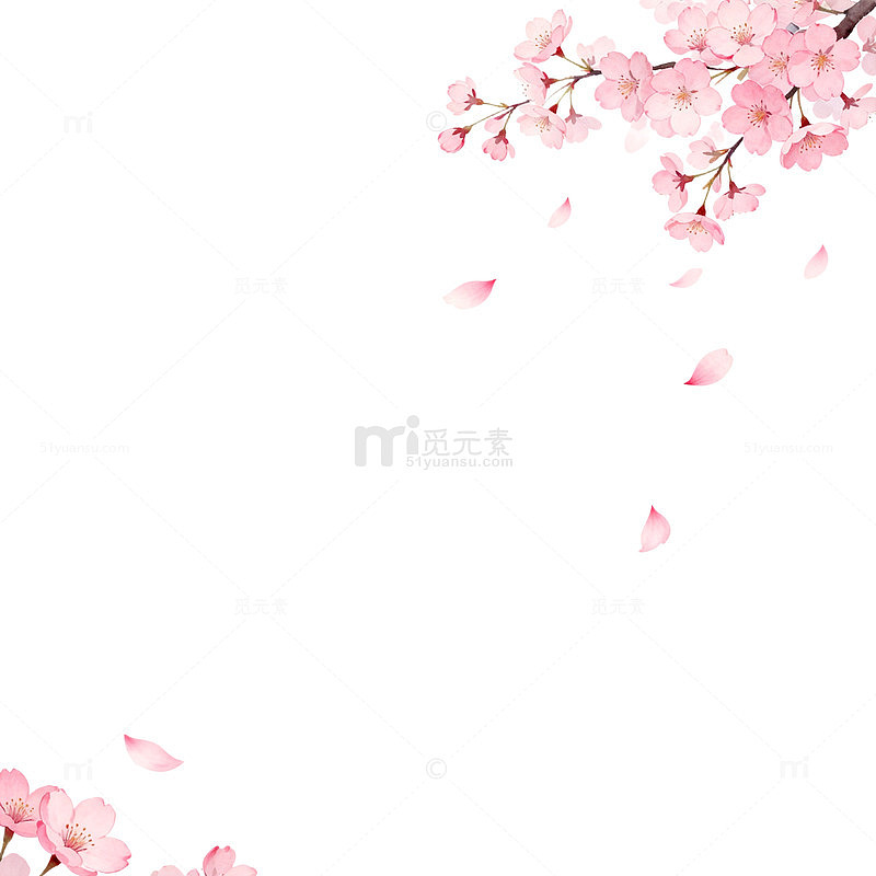 樱花飘落清新插画背景