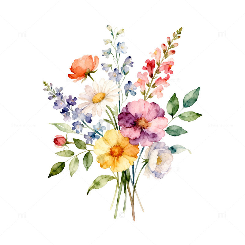 水彩花卉装饰插画设计素材