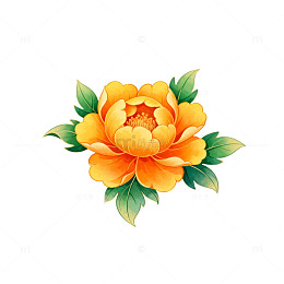 精美花卉插画设计素材