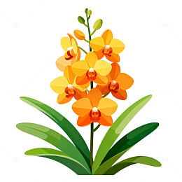 卡通风格兰花插画设计素材