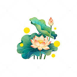 中国风荷花插画设计元素