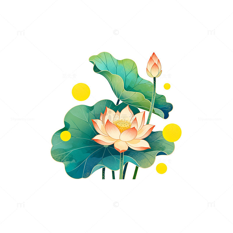 中国风荷花插画设计元素