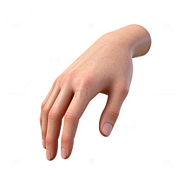 3D逼真手部模型渲染图