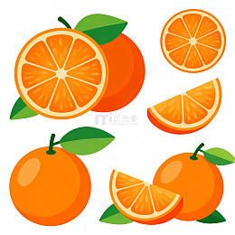 卡通风格橙子插画素材