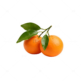 新鲜橘子水果特写
