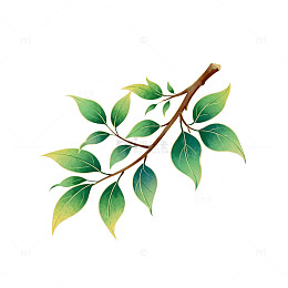 手绘绿叶树枝装饰图案