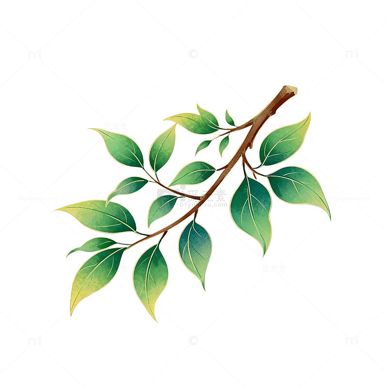 手绘绿叶树枝装饰图案