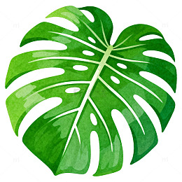 水彩绿色植物叶片图案设计素材