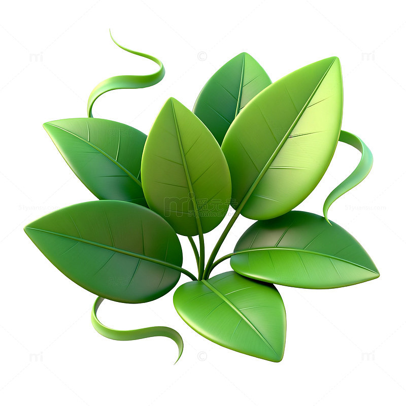 清新绿叶植物插画设计素材