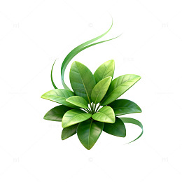 绿色植物插画设计素材