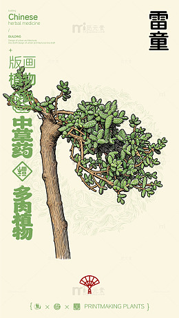 中国风雷童多肉植物插画设计素材