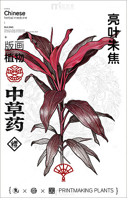 版画风格亮叶朱焦植物插画