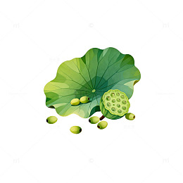 插画风格荷叶莲子图案设计素材