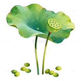 荷叶莲蓬水墨画素材
