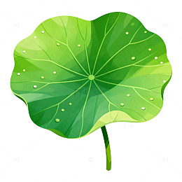 荷叶卡通插画设计素材