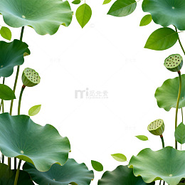 绿色植物边框背景图