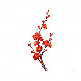 红色梅花插画素材