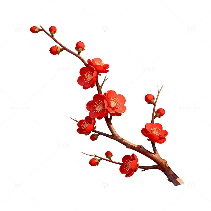 梅花枝矢量插画素材