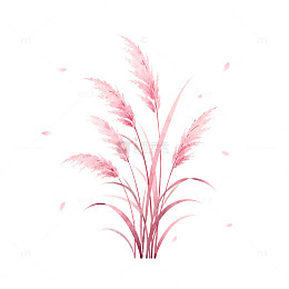 粉色水彩芦苇矢量设计素材