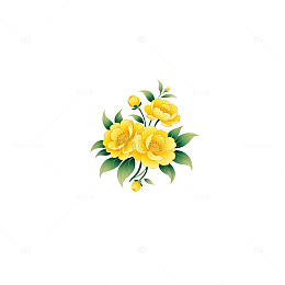 清新黄玫瑰花束插画素材
