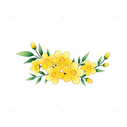 清新黄花花束插画