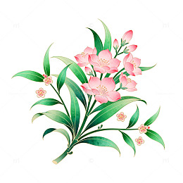 水彩花卉插画设计素材
