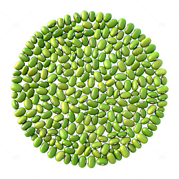 绿豆排列成圆形图案