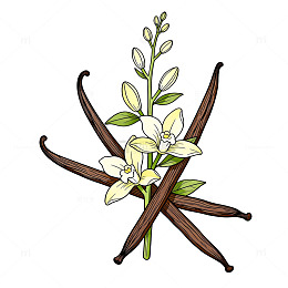 插画风格香草花卉图案设计素材