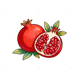 石榴插画水果图案设计素材