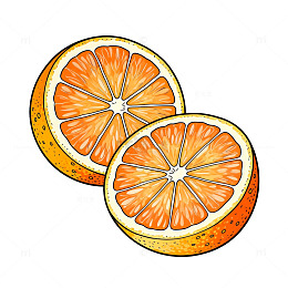 卡通橙子插画素材