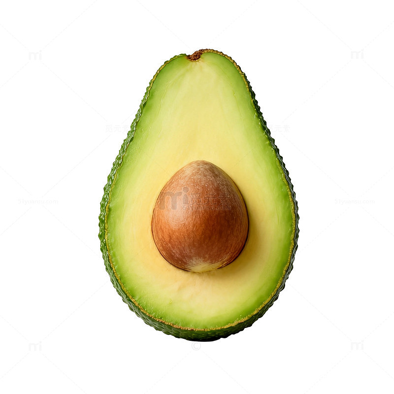 新鲜牛油果插画设计素材