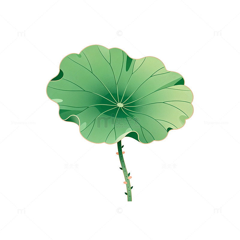 荷叶插画设计素材