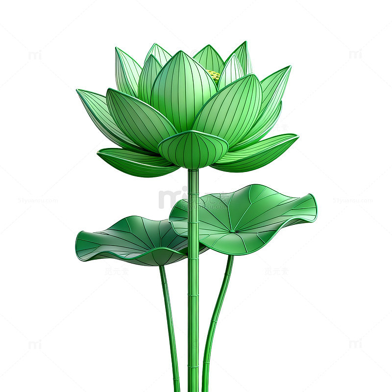 绿色莲花矢量插画素材
