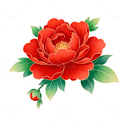 牡丹花插画设计素材