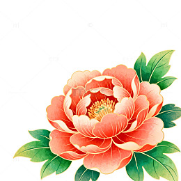 中国风牡丹花卉插画设计元素