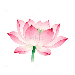 水彩荷花淡雅插画元素