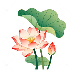插画风格荷花荷叶图案