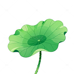 插画荷叶矢量素材
