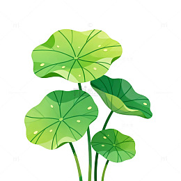 绿色荷叶卡通插画素材