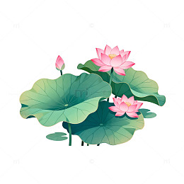 插画风格荷花荷叶图案